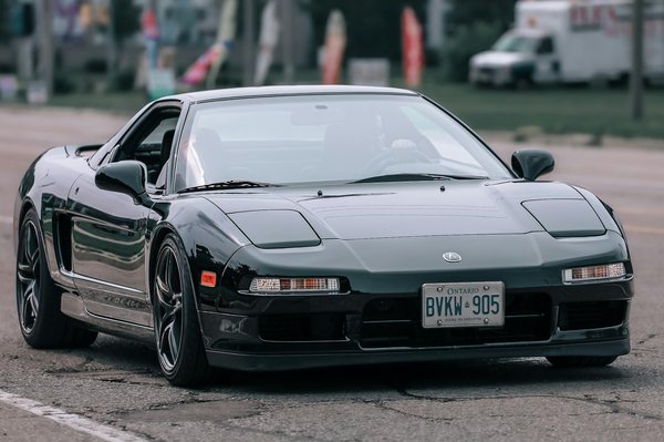 Blühende Online-Community für Gartenfans: So Schaffen Sie eine Dynamische Plattform für Begeisterte Gärtner